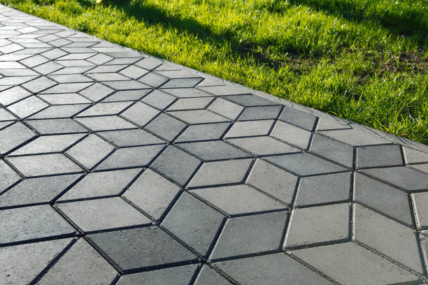 Best Professional Driveway Pavers  in Neptune Beach, FL