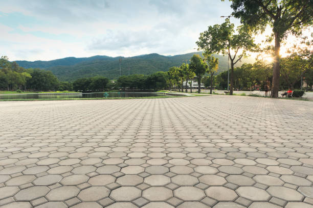Best Driveway Pavers Near Me  in Neptune Beach, FL